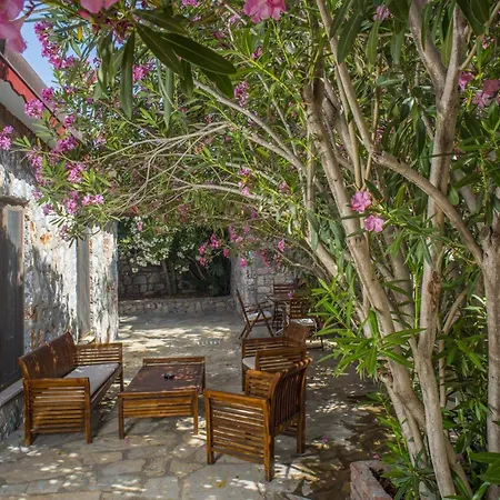 Zakkum, Florya Marmaris